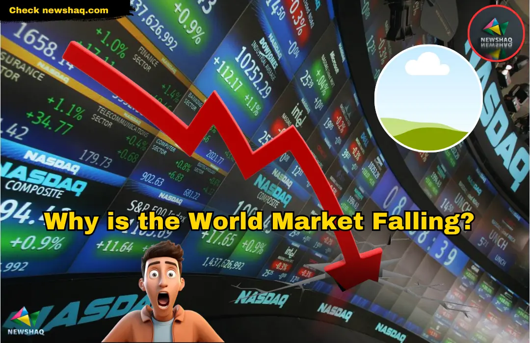 Why is the World Market Falling